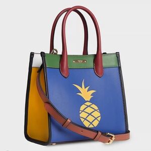 NWT Jeff Wan “RAINBOW” Hampton tote 22 bag